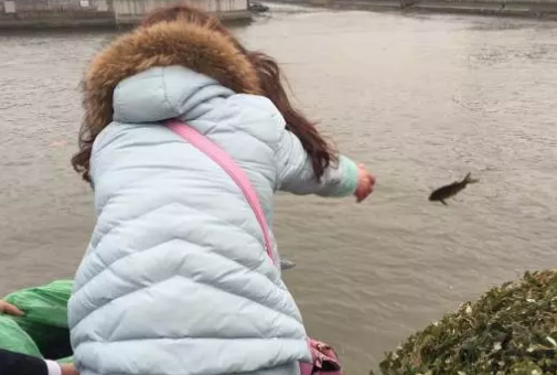 放生项目，成为了网赚香饽饽
