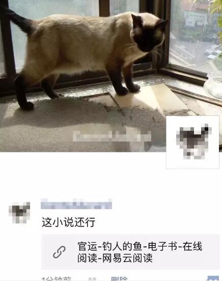 微信小说派单分销赚钱