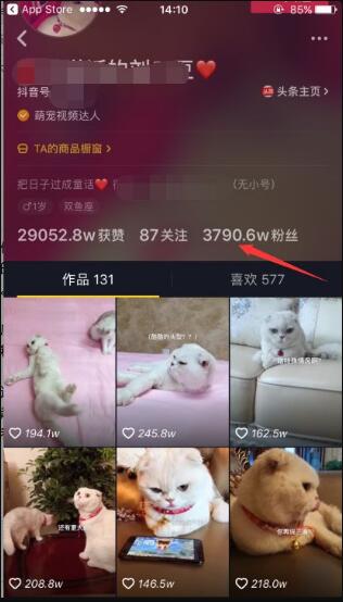 宠物短视频卖“宠物眼镜”赚钱