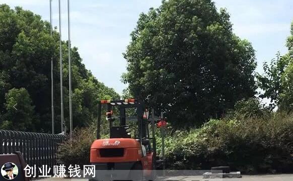 “叉车培训”项目怎么赚钱?