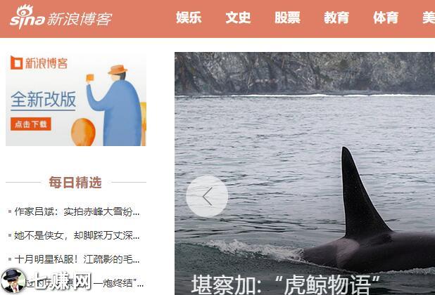 “新浪博客”微商引流技巧?