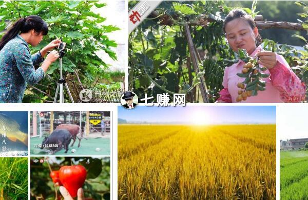 农村拍短视频赚钱还是写文章？