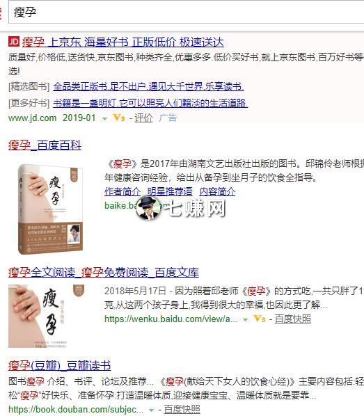 虚拟电子书项目怎么赚钱？