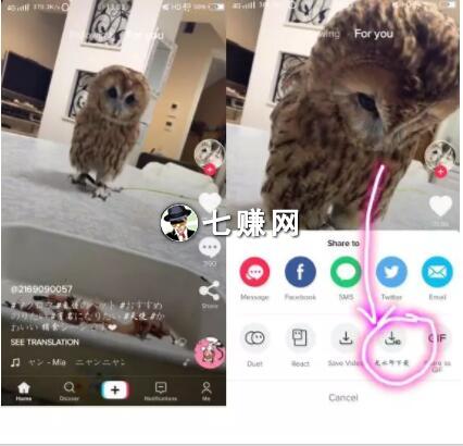 抖音短视频怎么伪原创,二次原创赚钱方法!