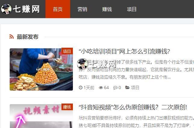 新手怎么在虚拟资源项目赚钱！