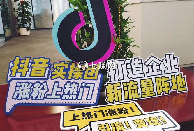 “抖音培训”怎么推广赚钱？抖音流量商机！