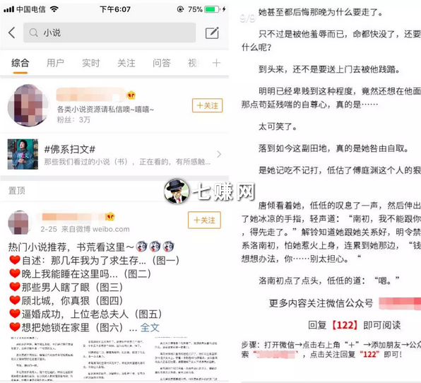 “网络小说”怎么赚钱？小说分销项目！