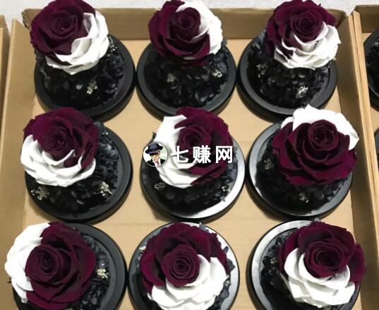 网上创业卖“永生花”年销400万!