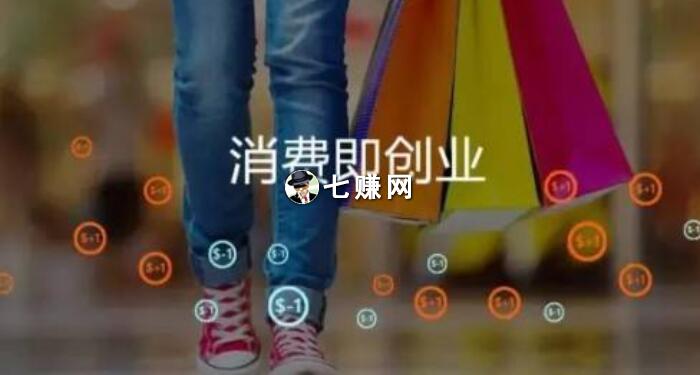 “社交电商平台”怎么起盘策划？