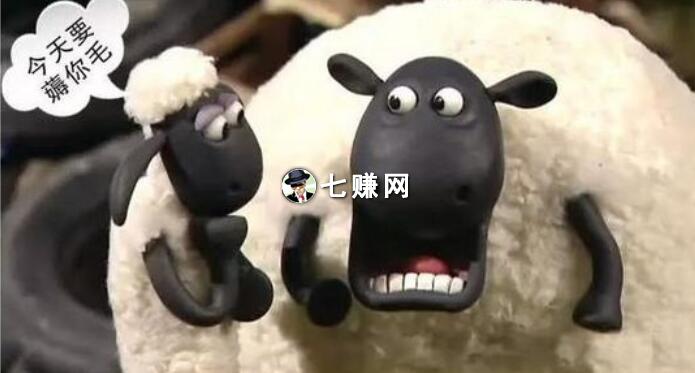 羊毛项目怎么吸粉赚钱?打造个人IP圈粉!