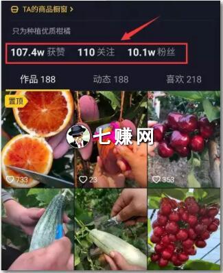网上怎么做项目才能赚钱?三个案例!