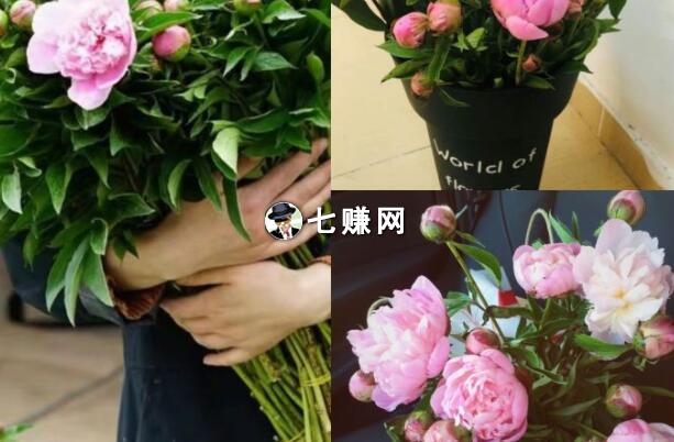 宝妈在家带娃怎么创业挣钱?