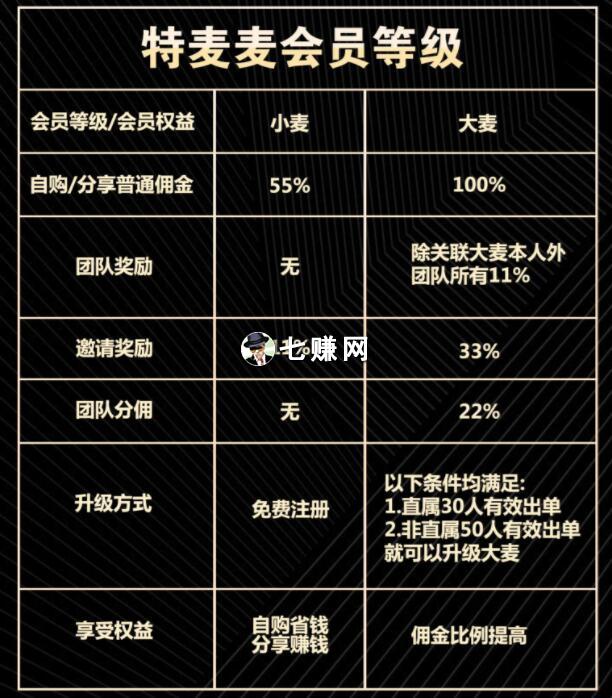 “特麦麦”怎么推广赚钱?