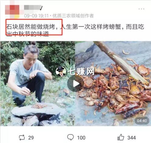 什么领域短视频赚钱?三农题材吸金!
