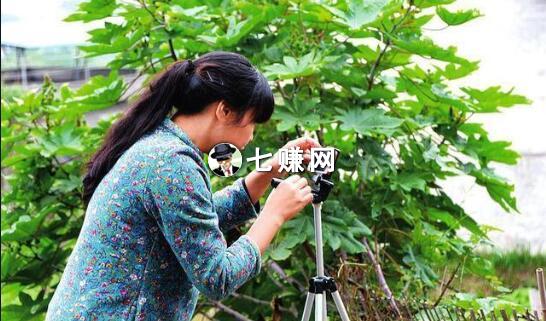 怎么提升三农题材短视频质量?