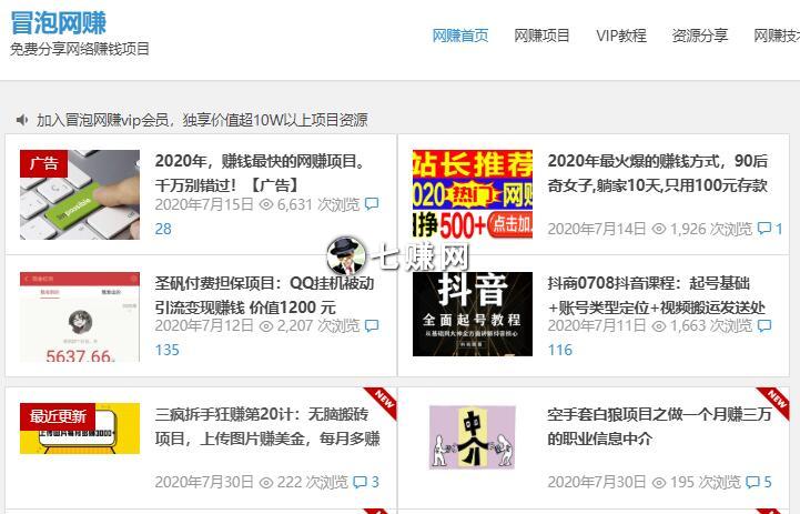 冒泡网赚(VIP会员收费网赚网站)