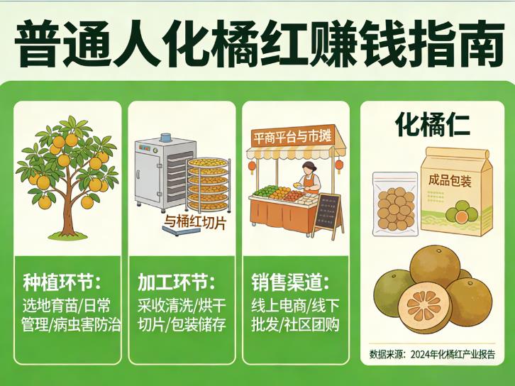 “化橘红”成网红爆品：普通人怎么靠它赚外快？