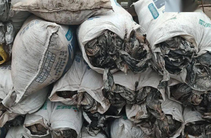 “废旧地膜”回收：地膜如何变废为宝赚钱？