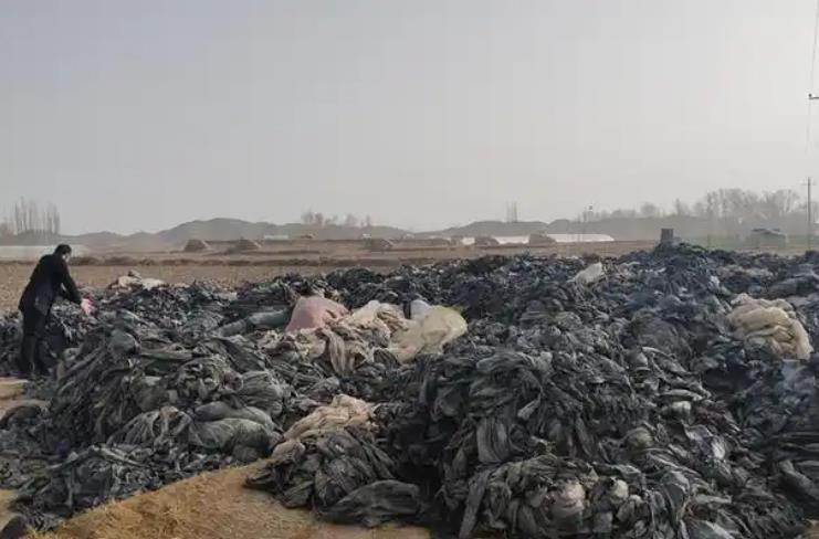 “废旧地膜”回收：地膜如何变废为宝赚钱？